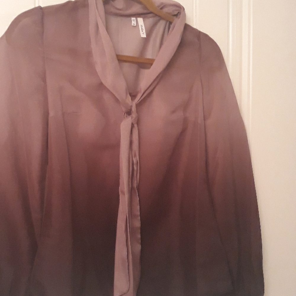 Studio Y sheer dress blouse